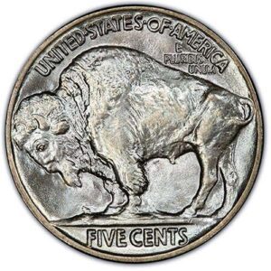 Buffalo Nickel (1913-1938) MS67 reverse